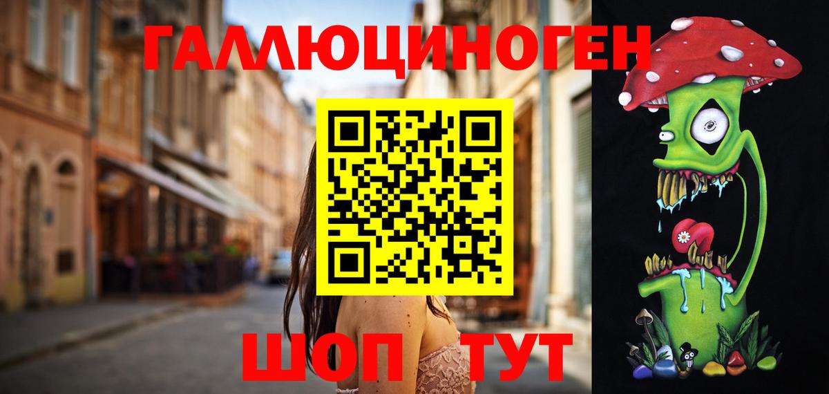 Галлюциногенные грибы Psilocybine cubensis Узловая