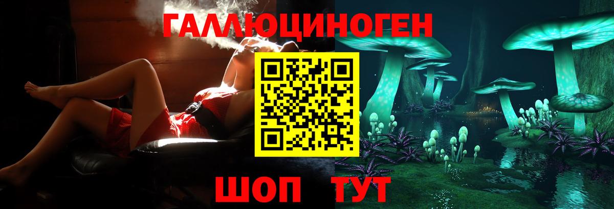 Галлюциногенные грибы прущие грибы  Вход с VPN  Узловая 